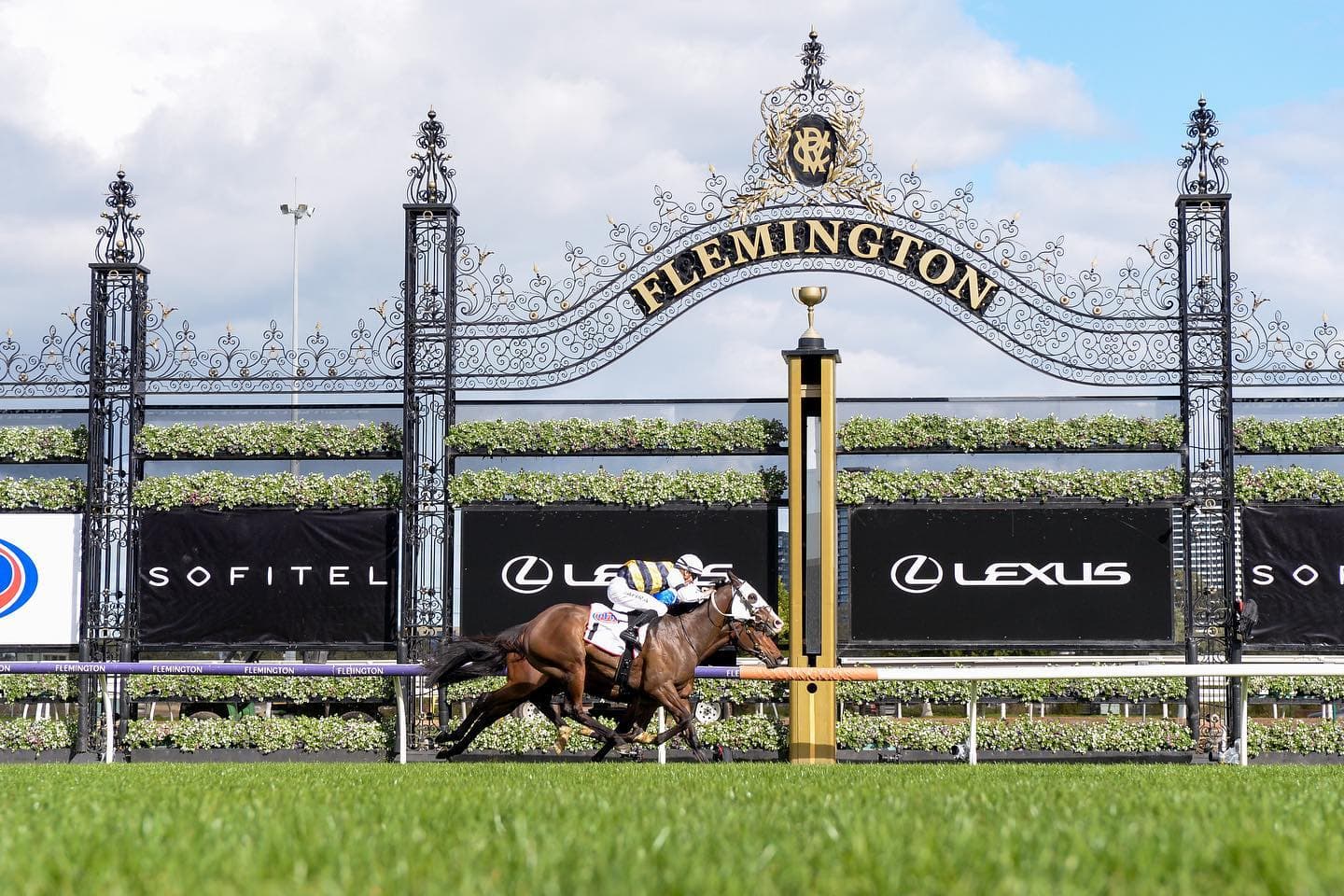 Full Results & Margins