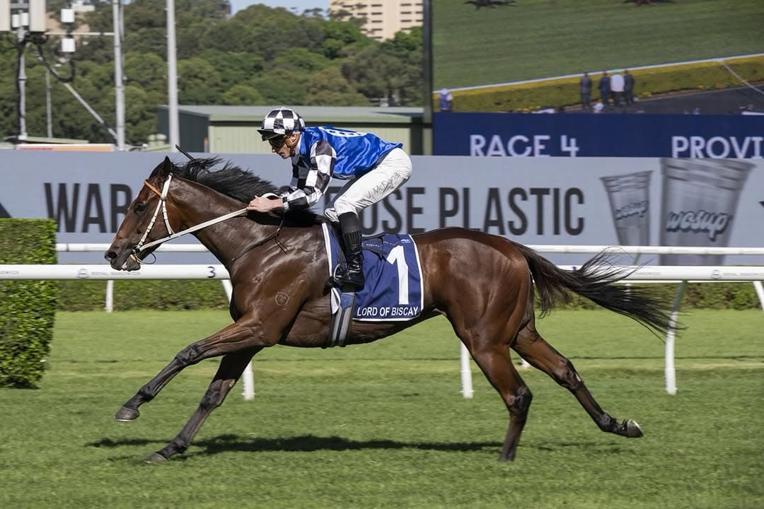 Lord Of Biscay Is Favourite for the Tamworth Cup. I'd Rather Have Formal Display.