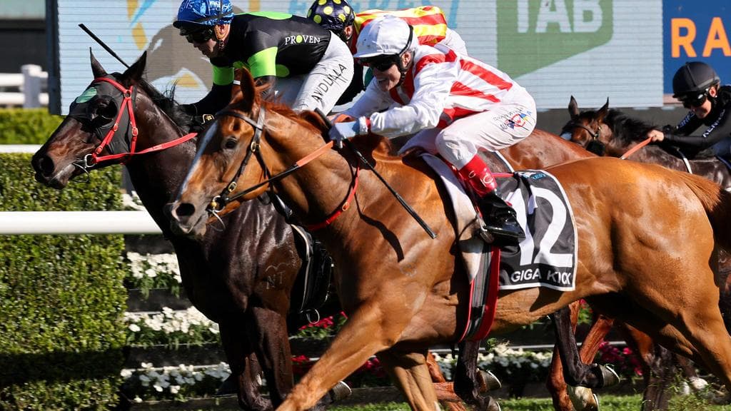 Expert Race Analysis