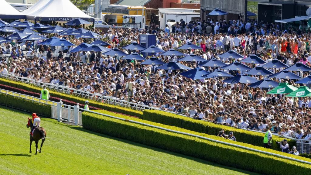 Race Day Previews & Tips