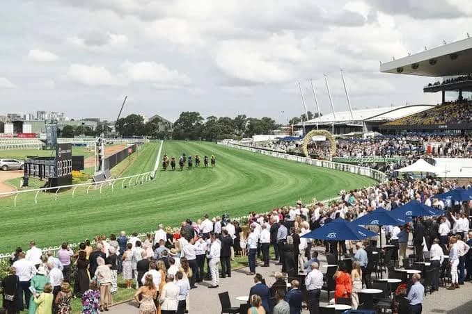 Autumn Glow Returns: Golden Slipper Day and Why the Soft Track Changes Everything