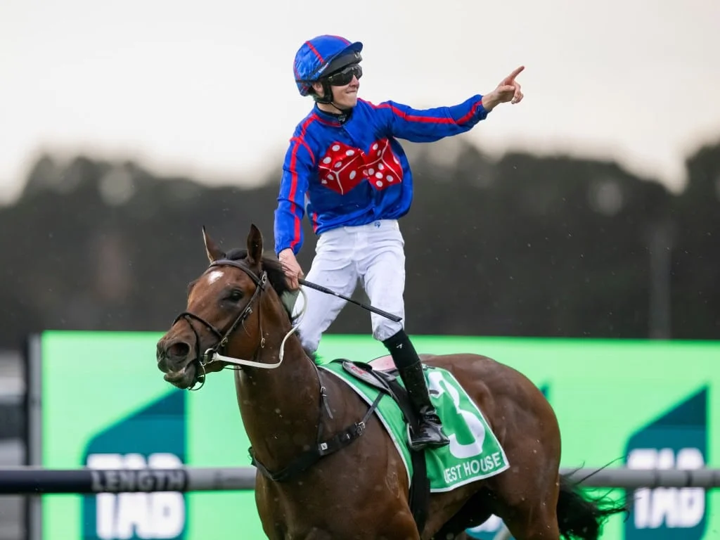 Guest House Announces Himself on Racing’s Biggest Stage