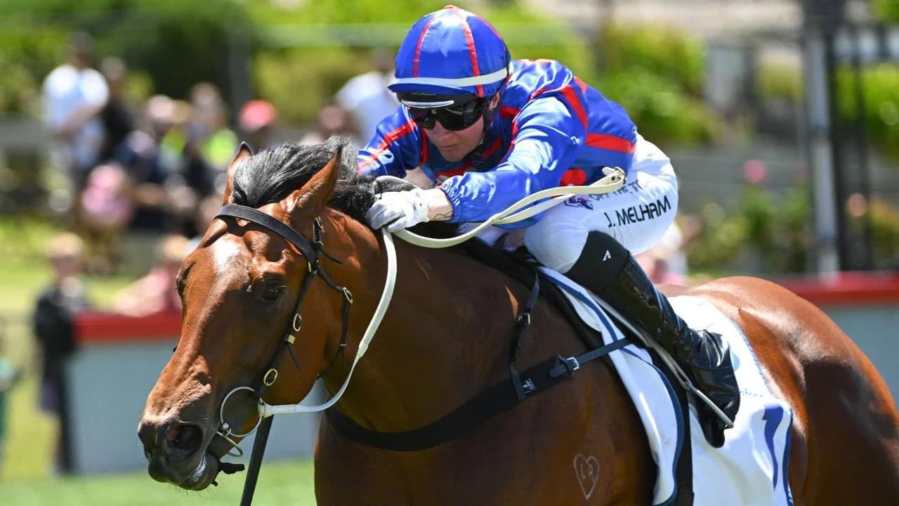 Guest House: From $270,000 Yearling to $30 Million Stallion Prospect