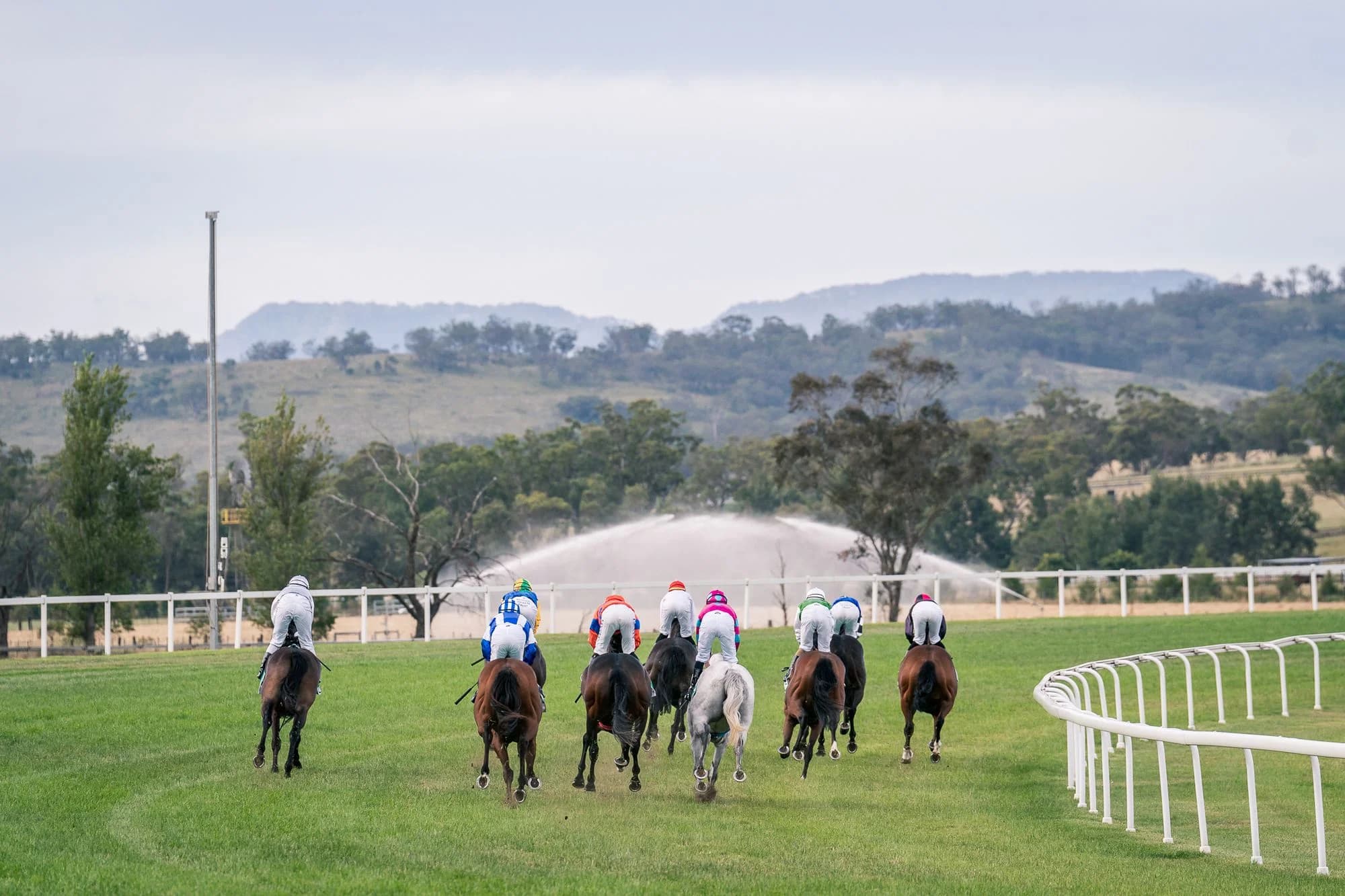 Scone Wildcard Day - Who Will Make It To Big Stage?