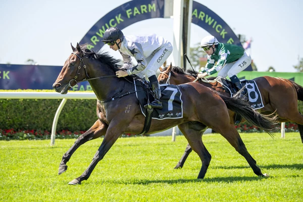 The Next Episode: $2.20 For What, Exactly??