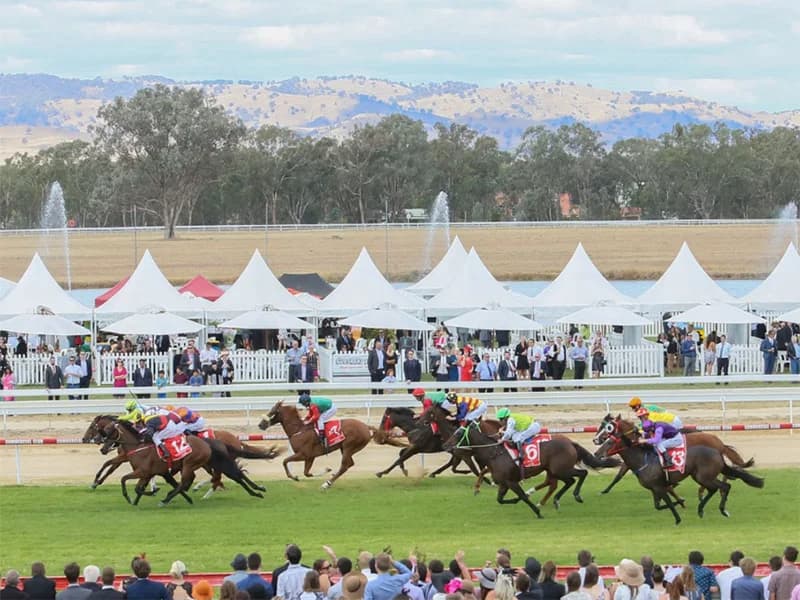 Albany Community Cup: Can True Player Handle the Pressure?