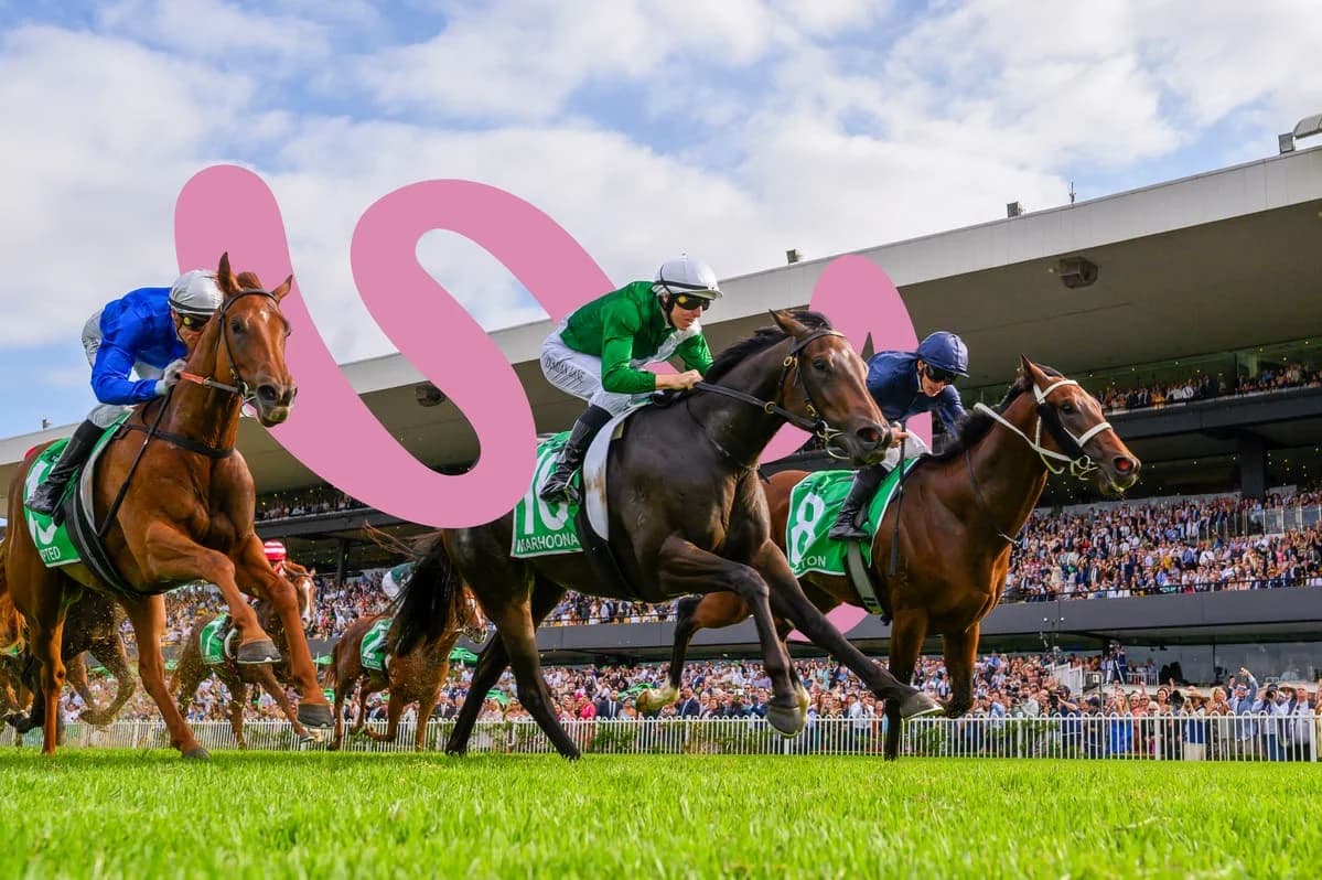 Sydney Autumn Carnival 2026: The Wins, The Boilovers, The Punters Who Went Home Happy